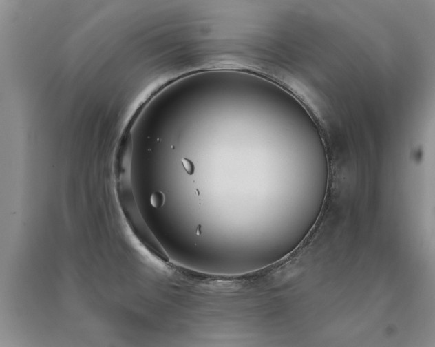 X0000091521476200708171206