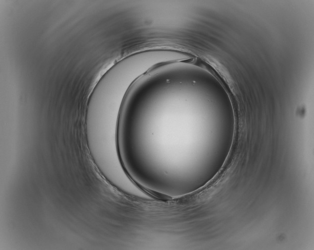 X0000091521481200708171206