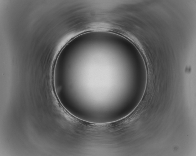 X0000091521488200708171206