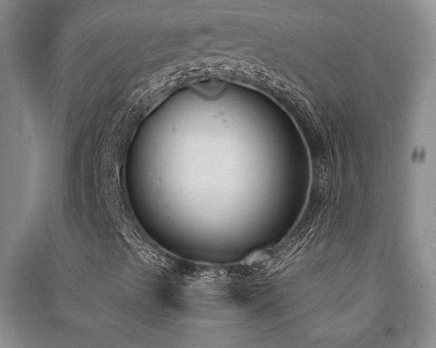 X0000091521489200708171205