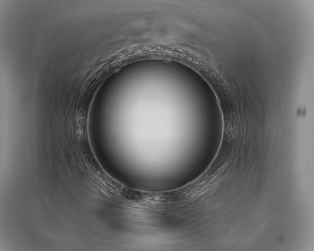 X0000091521490200708171205