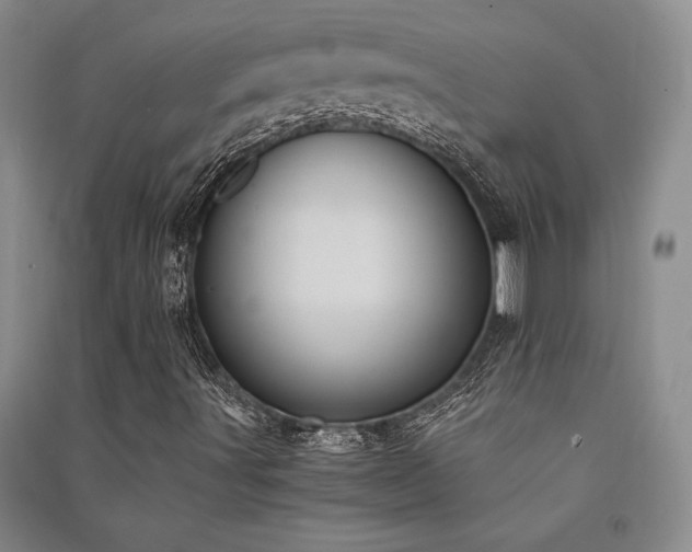 X0000091521491200708171205