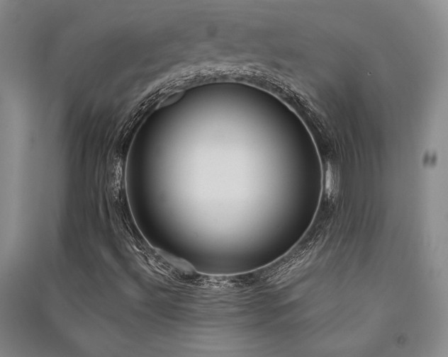 X0000091521492200708171205