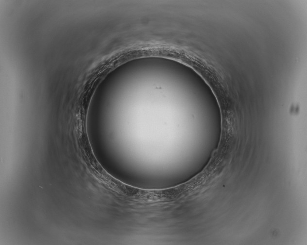 X0000091521493200708171205