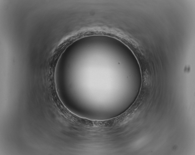 X0000091521494200708171205