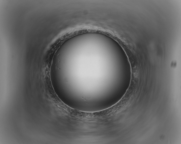 X0000091521495200708171205