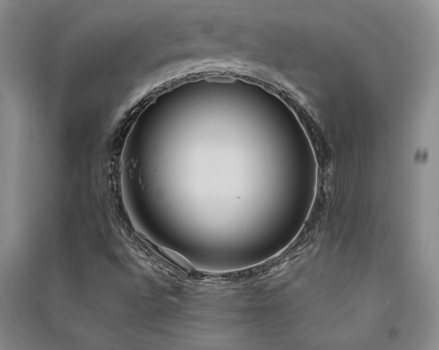X0000091521496200708171205