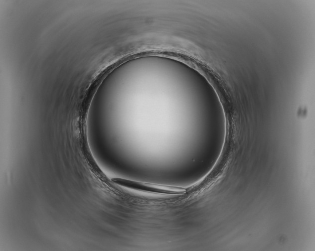 X0000091521497200708171205