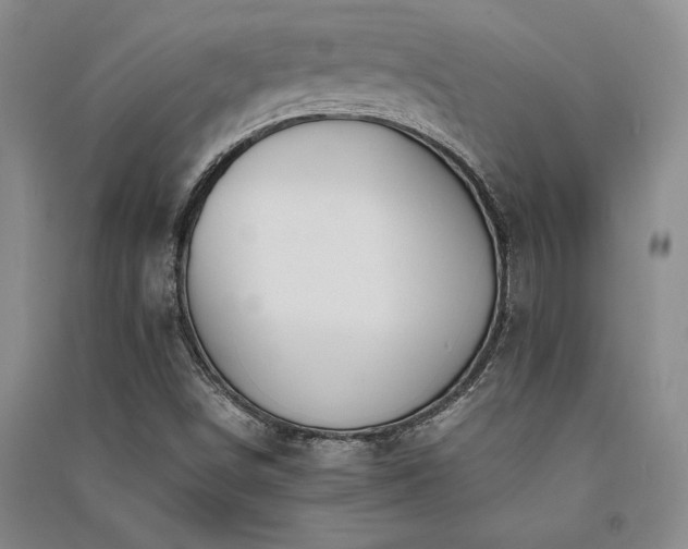 X0000091521498200708171205