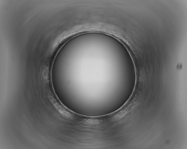 X0000091521499200708171205
