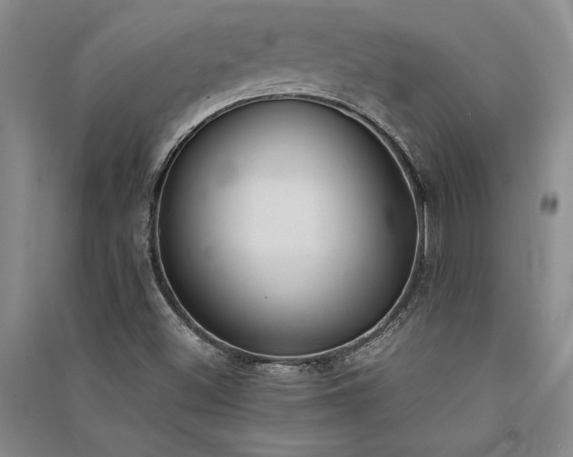X0000091521500200708171205