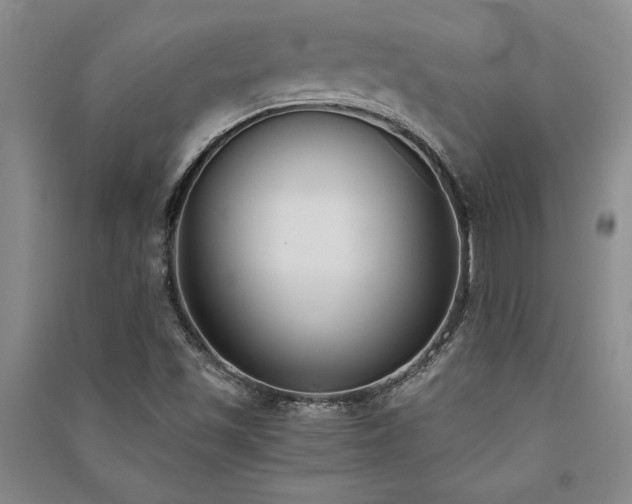 X0000091521501200708171205