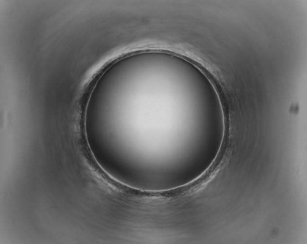 X0000091521502200708171205