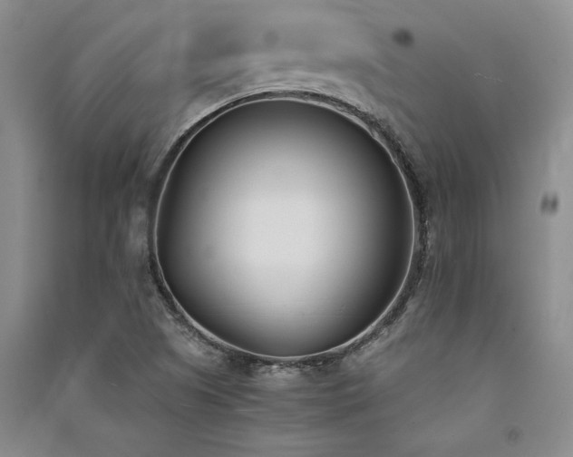 X0000091521505200708171206