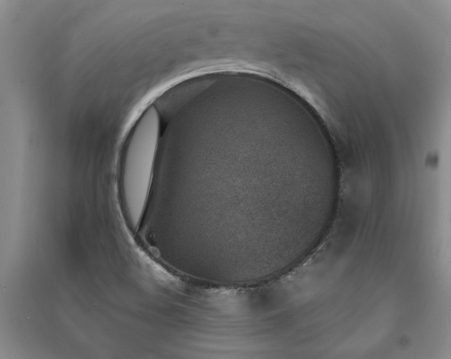 X0000091521508200708171206