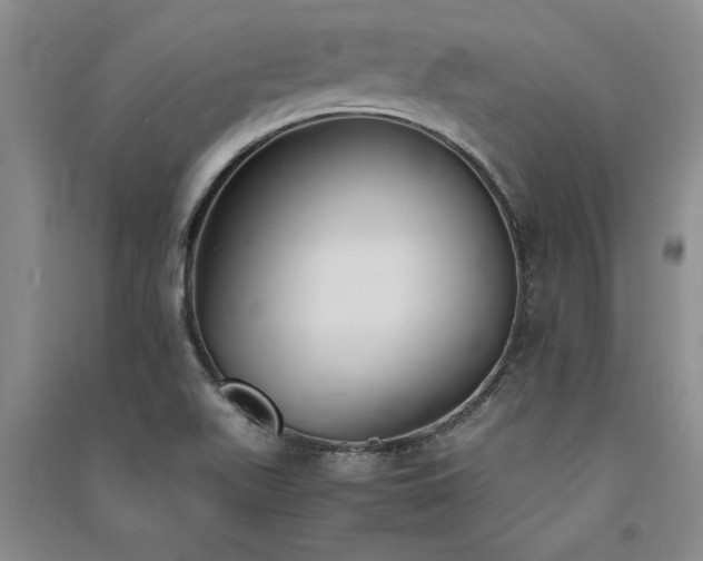 X0000091521511200708171206
