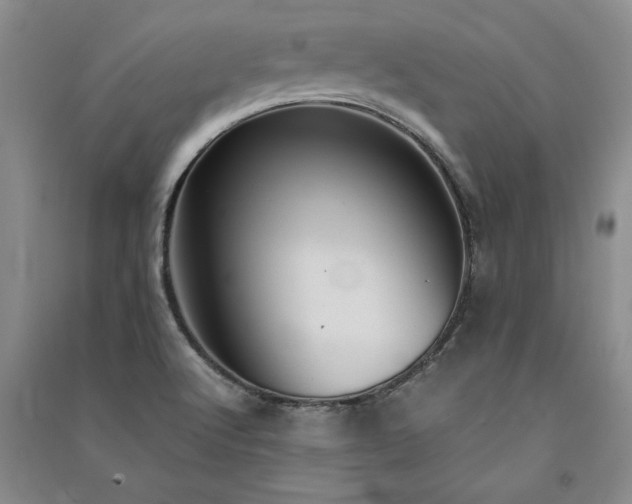 X0000091521512200708171206