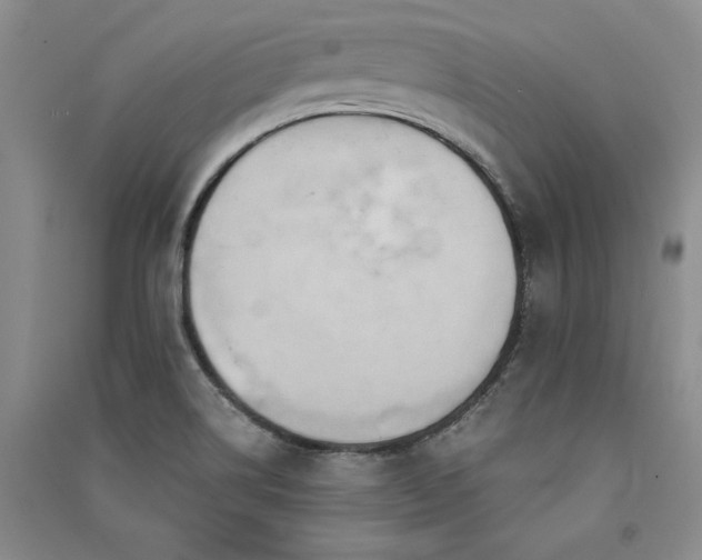 X0000091521514200708171206