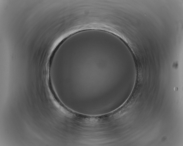 X0000091521515200708171206