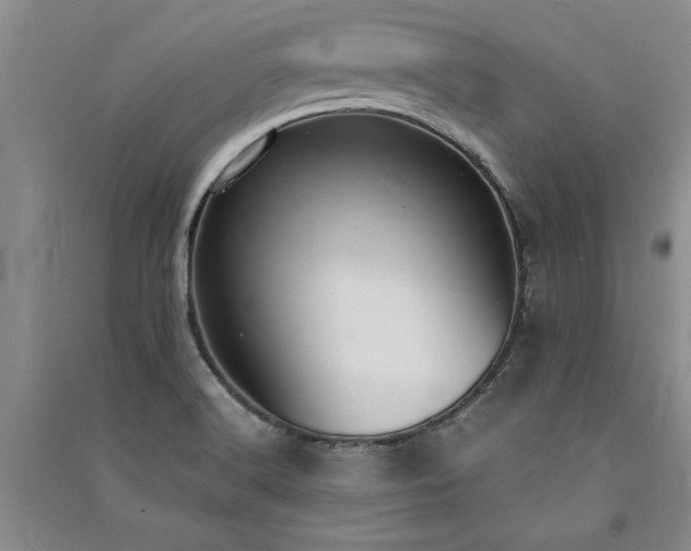X0000091521516200708171206