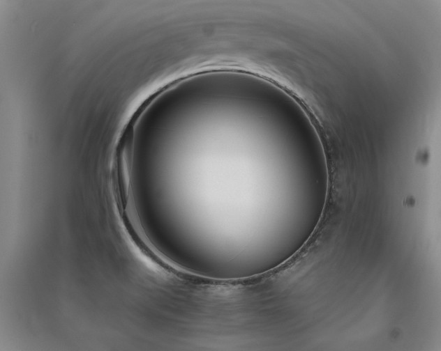 X0000091521519200708171206