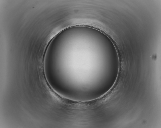 X0000091521521200708171206