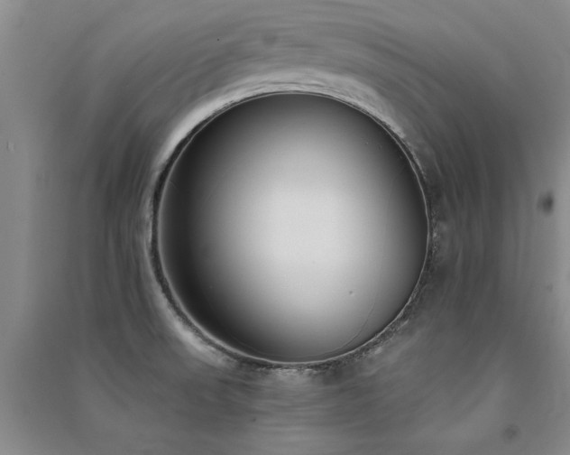 X0000091521523200708171206
