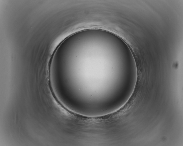 X0000091521527200708171206