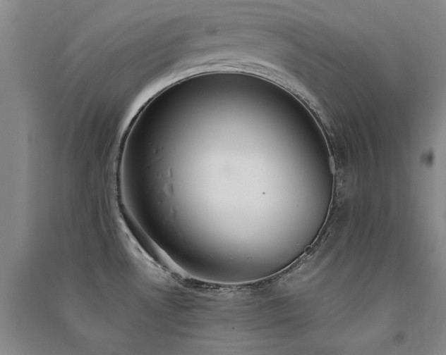 X0000091521530200708171206