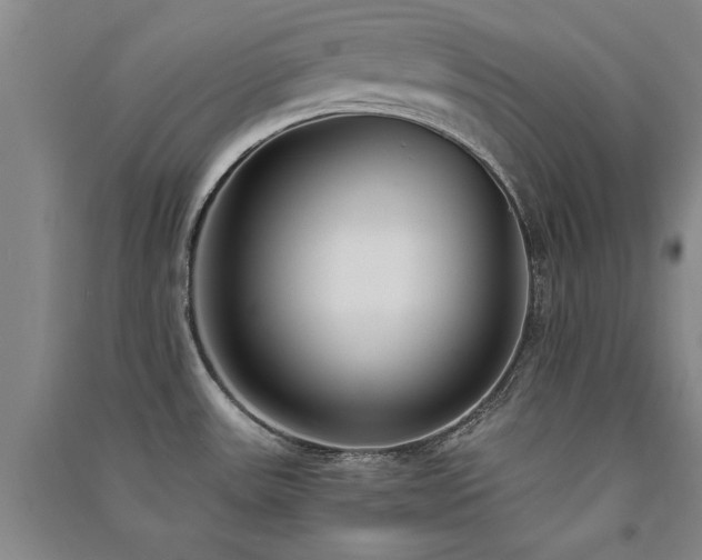 X0000091521531200708171206