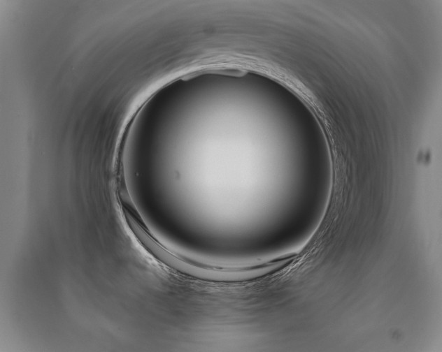 X0000091521536200708171206