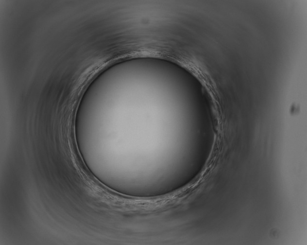 X0000091520001200708241700