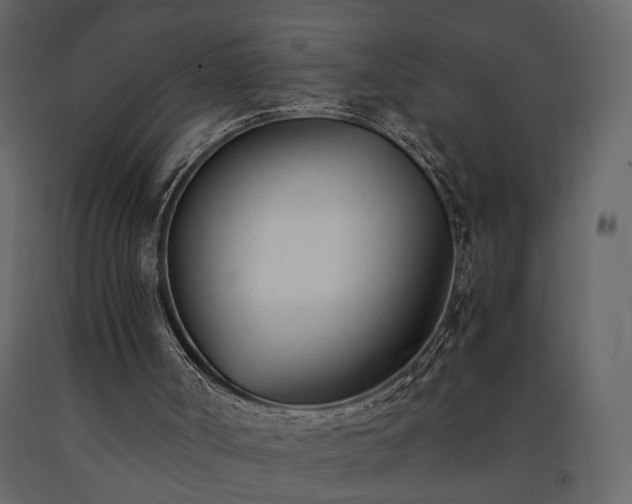 X0000091520002200708241700