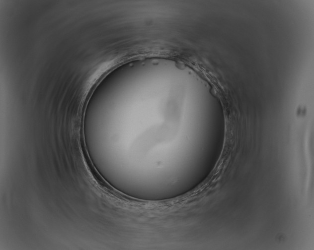 X0000091520003200708241700