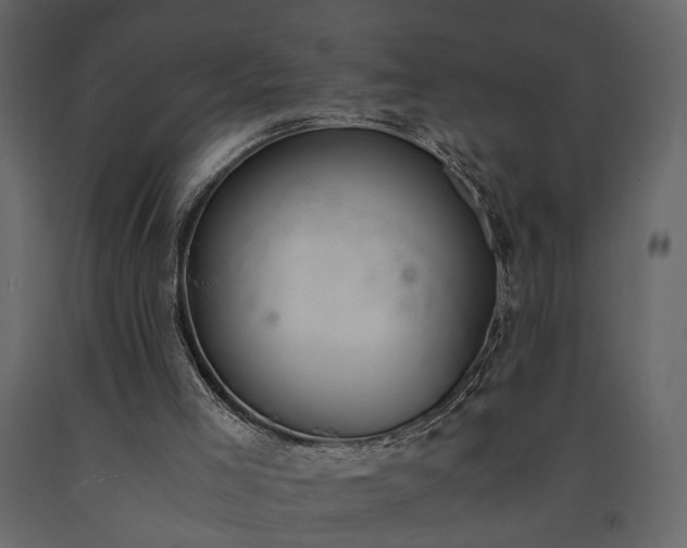 X0000091520005200708241659