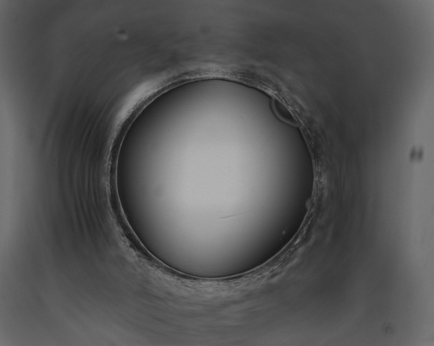 X0000091520006200708241659