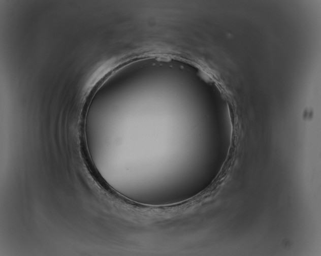 X0000091520007200708241659