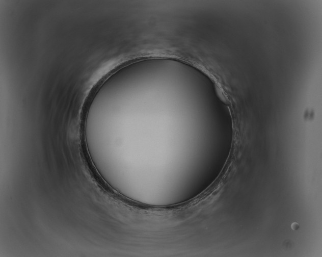 X0000091520008200708241659