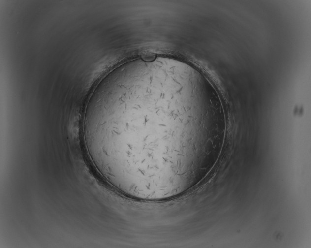 X0000091520010200708241659