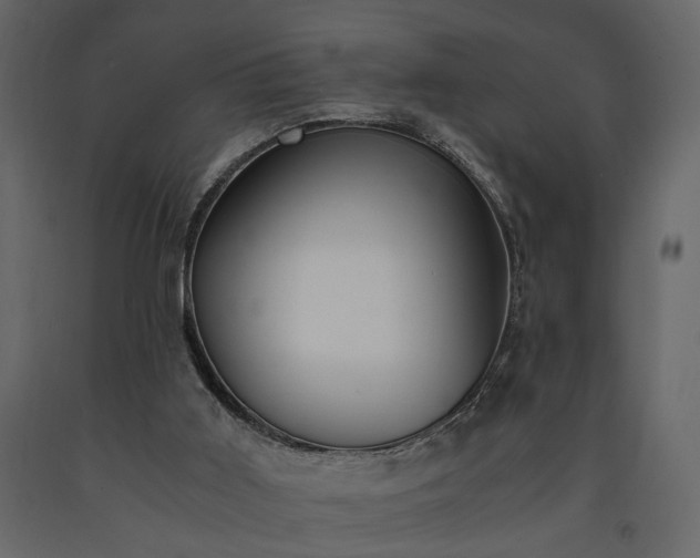X0000091520011200708241659