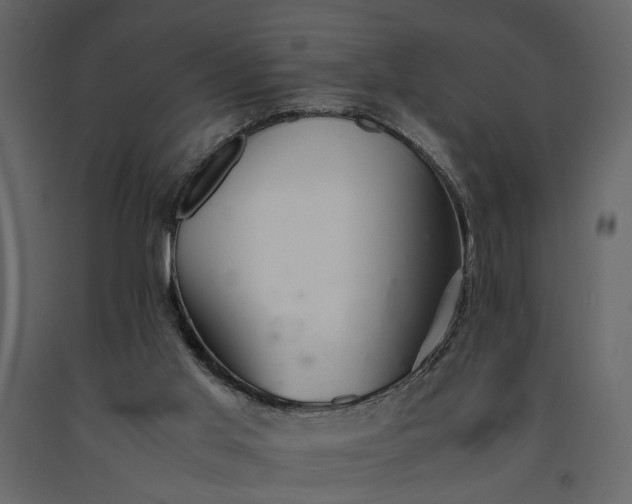 X0000091520013200708241659