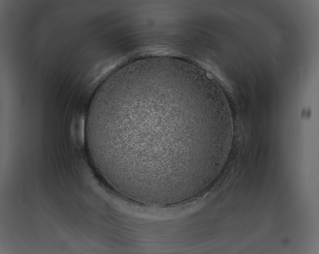 X0000091520014200708241659