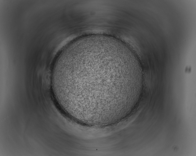 X0000091520016200708241659