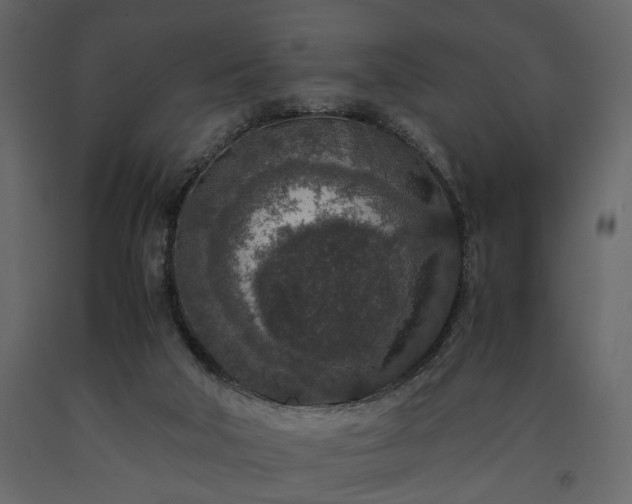 X0000091520018200708241659