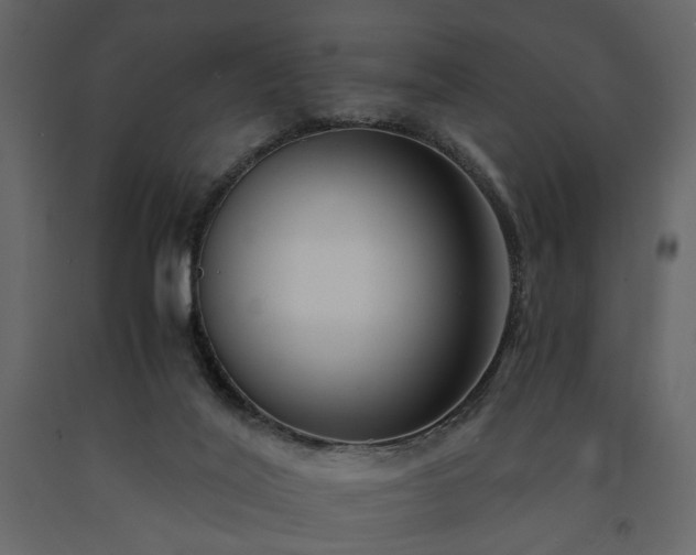 X0000091520020200708241659