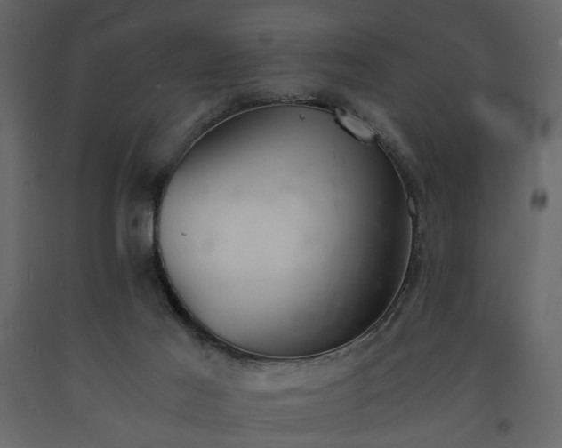 X0000091520021200708241659