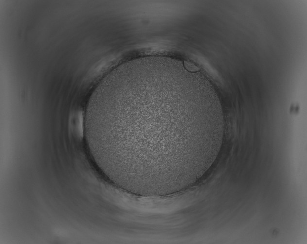 X0000091520022200708241659