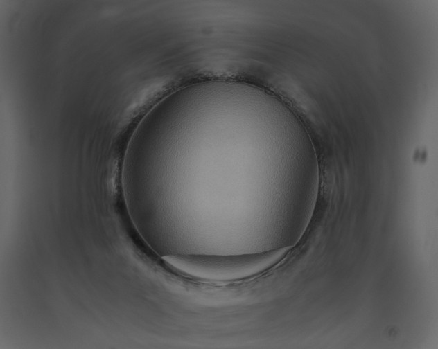 X0000091520023200708241659
