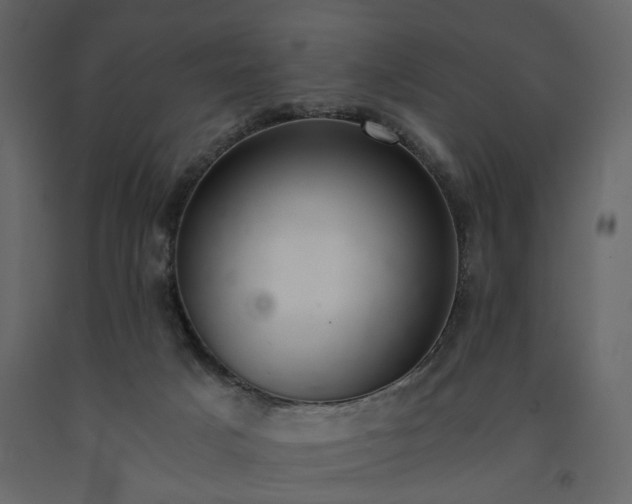 X0000091520025200708241659