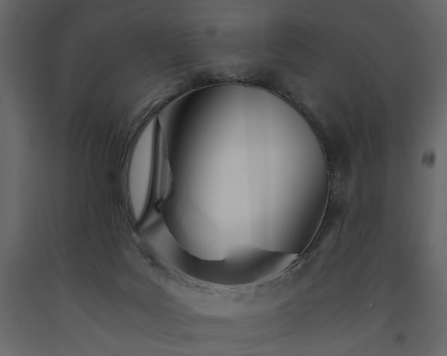 X0000091520027200708241659